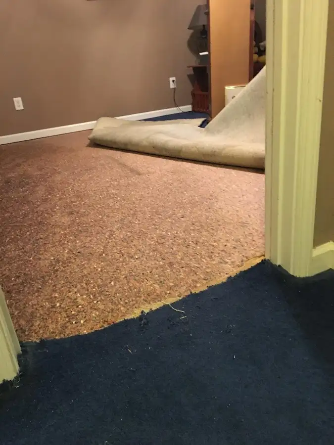 Carpet pad removal revealing water damage during Water Mitigation Services in Passaic