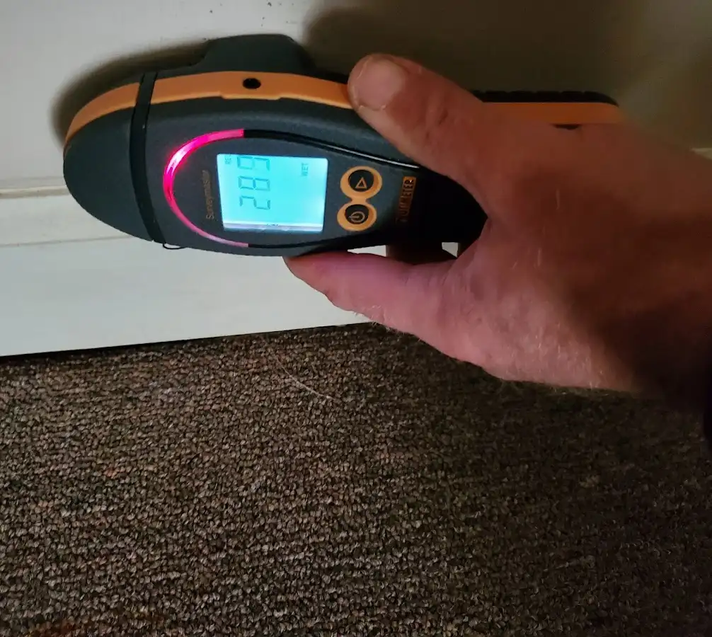 Moisture detection at baseboard during Mold Inspection & Testing in Passaic